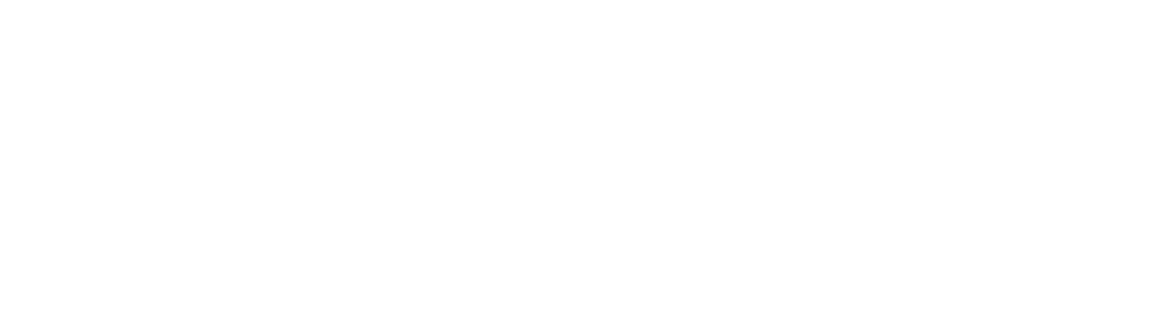Maqui Motors